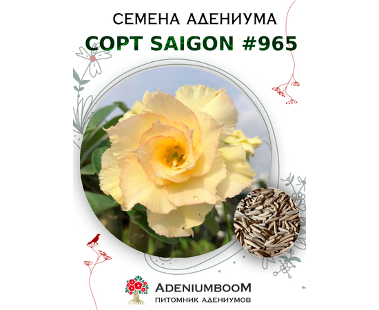 Адениум Тучный от Saigon Adenium № 965