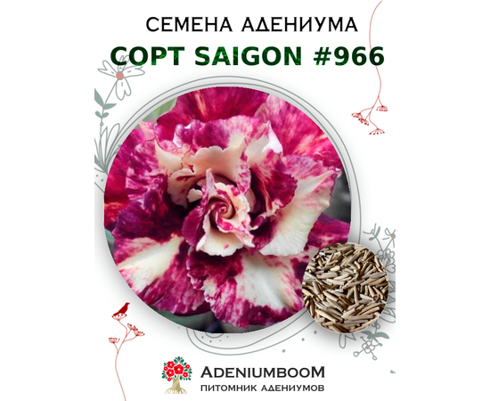 Адениум Тучный от Saigon Adenium № 966