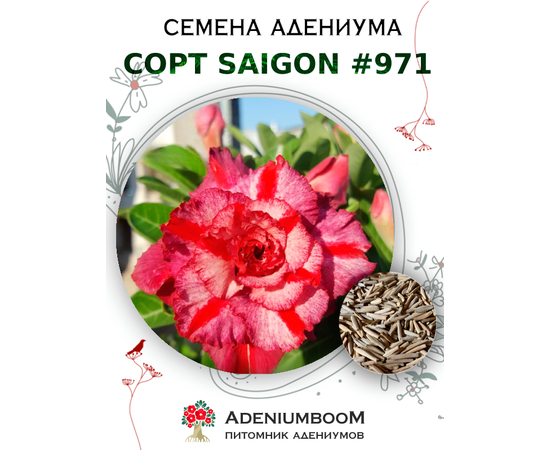 Адениум Тучный от Saigon Adenium № 971