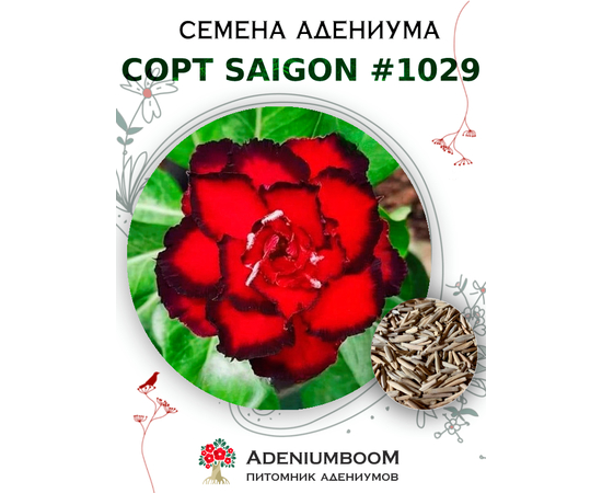 Адениум Тучный от Saigon Adenium № 1029