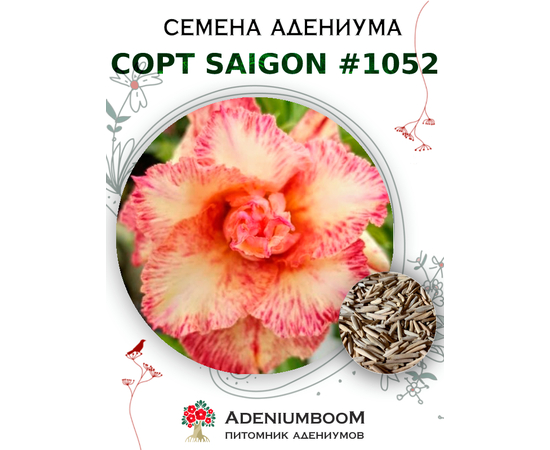 Адениум Тучный от Saigon Adenium № 1052