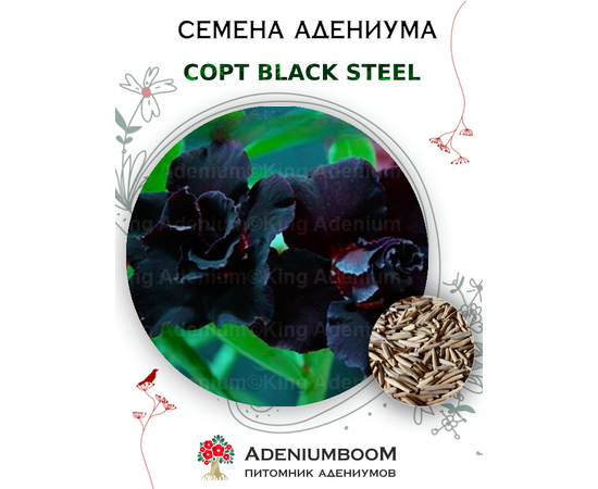 Адениум Тучный Black Steel