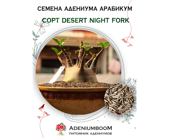 Адениум Арабикум Desert Night Fork