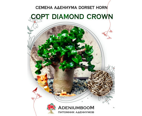 Адениум Dorset Horn 95-100% Diamond Crown