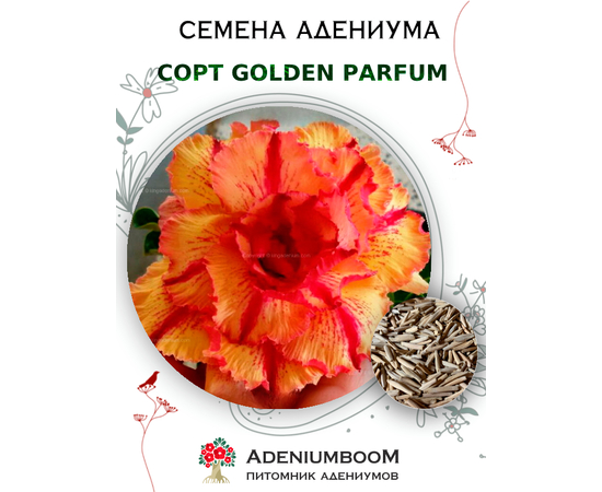 Адениум Тучный Golden Parfum