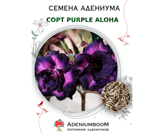 Адениум Тучный Purple Aloha