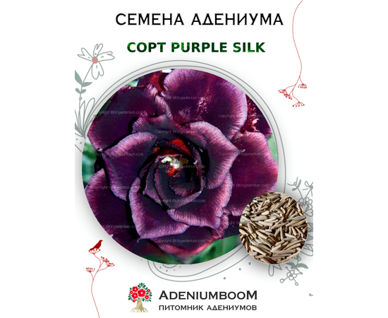 Адениум Тучный Purple Silk