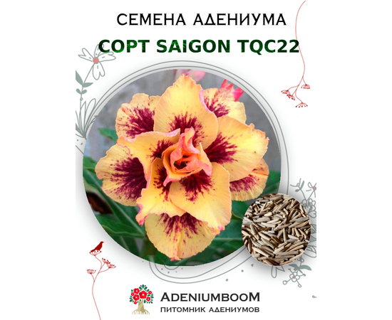 Адениум Тучный от Saigon Adenium, TQC22