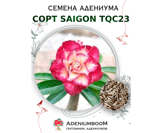 Адениум Тучный от Saigon Adenium, TQC23