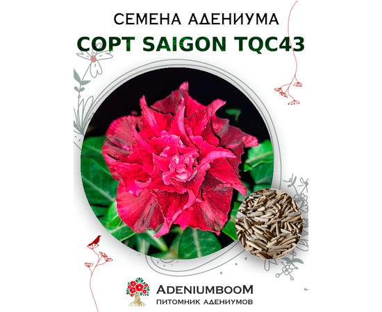 Адениум Тучный от Saigon Adenium, TQC43