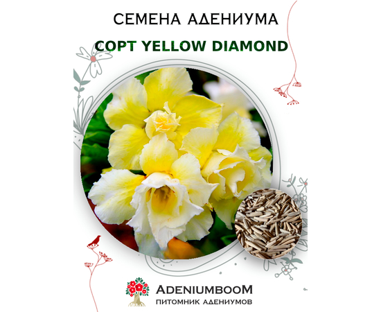 Адениум Тучный Yellow Diamond