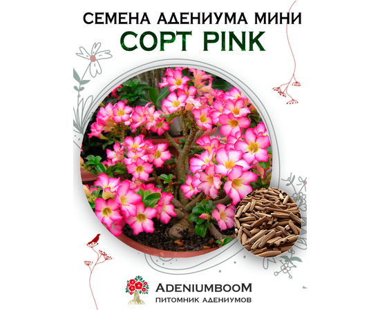 Адениум Мини Pink