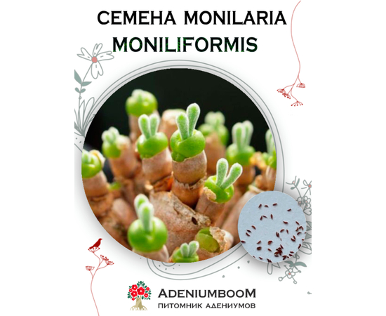 Monilaria Moniliformis (Монилария Ожерельевидная)