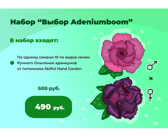 Набор семян «Выбор Adeniumboom»