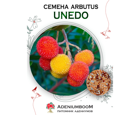 Arbutus Unedo (Арбутус, Земляничное дерево)