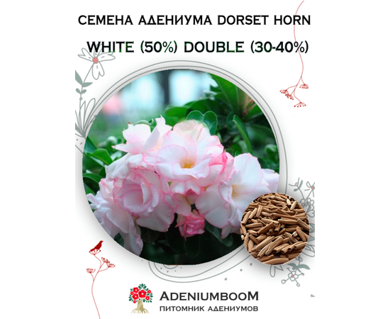 Адениум Dorset Horn White (50%) Double (30-40%)